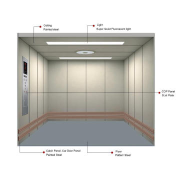 2000kg Freight Elevator for Goods with Painted Steel Finish (XNH-001)